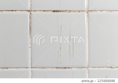 お風呂のタイルの溝に付いたカビ 125888086