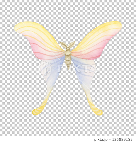 Watercolor butterfly in pastel pink, yellow and blue isolated illustration. Romantic, cute and girly flying moth for baby girl clothes and wedding designs Watercolor butterfly in pastel pink, yellow and blue isolated illustration. Romantic, cute and girly flying moth for baby girl clothes and wedding designs 125889155