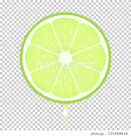 果汁がしたたるフレッシュな輪切りのライム/緑色のレモンの断面 - 緑色の柑橘類のイラスト素材 125889616