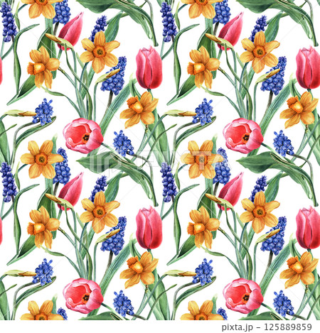 Seamless, repeat pattern with yellow daffodils, narcissi, pink tulips and blue grape hyacinth, muscari. Hand drawn watercolor illustration. For wrapping wallpaper fabric textile Seamless, repeat pattern with yellow daffodils, narcissi, pink tulips and blue grape hyacinth, muscari. Hand drawn watercolor illustration. For wrapping wallpaper fabric textile 125889859