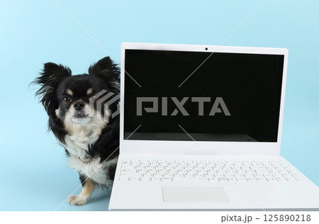 パソコンを操作する犬 パソコンを操作する犬 125890218