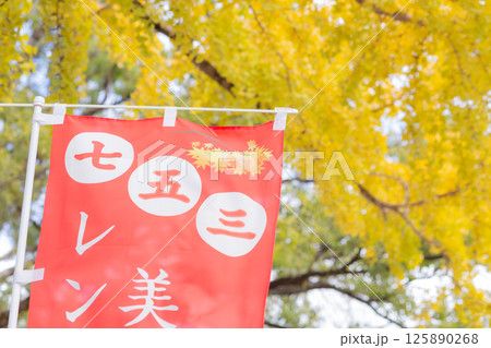 【日本】千葉県市川市の葛飾八幡宮境内に立てられた朱色の祝七五三のぼりと紅葉した銀杏の木 125890268