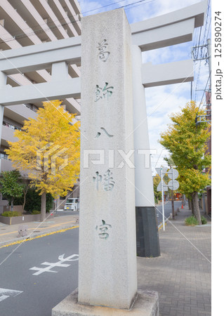 【日本】千葉県市川市の葛飾八幡宮の鳥居前に建てられた石柱と黄色く紅葉した銀杏の木 125890274