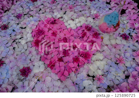 京都府長岡京市柳谷観音楊谷寺の初夏の境内をを撮影したもの 京都府長岡京市柳谷観音楊谷寺の初夏の境内をを撮影したもの 125890725