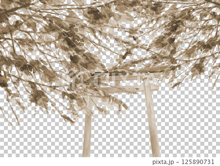 神社的棕褐色風景，鳥居掩映在樹叢中，用水彩繪製 [手繪] 白色背景 留出剪切空間 125890731