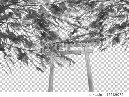 Monotone landscape of a shrine with a torii gate buried in trees painted with watercolors [hand-drawn] White background Cutout Copy space 125890734