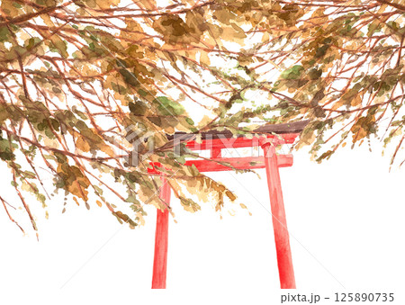 水彩で描いた紅葉と赤い鳥居のある神社の風景イラスト【手書き】白バック 切り抜き用 コピースペース 水彩で描いた紅葉と赤い鳥居のある神社の風景イラスト【手書き】白バック 切り抜き用 コピースペース 125890735