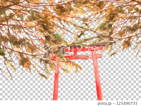 水彩風景插圖，神社上有秋葉和紅色的牌坊，白色背景上 [手繪]，可供裁剪和複製空間 125890735