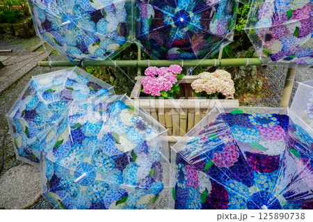 京都府長岡京市柳谷観音楊谷寺の初夏の境内をを撮影したもの 京都府長岡京市柳谷観音楊谷寺の初夏の境内をを撮影したもの 125890738