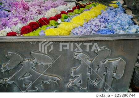 京都府長岡京市柳谷観音楊谷寺の初夏の境内をを撮影したもの 125890744