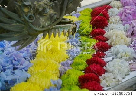 京都府長岡京市柳谷観音楊谷寺の初夏の境内をを撮影したもの 125890751