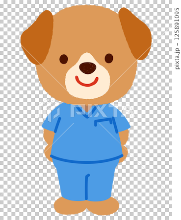かわいいイヌのお医者さん スクラブを着たイヌのお医者さん かわいいイヌのお医者さん スクラブを着たイヌのお医者さん 125891095