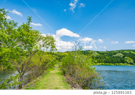 新緑の余呉湖風景 滋賀県長浜市余呉町 新緑の余呉湖風景 滋賀県長浜市余呉町 125891163