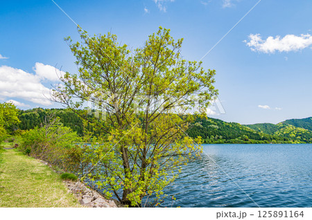 新緑の余呉湖風景 滋賀県長浜市余呉町 新緑の余呉湖風景 滋賀県長浜市余呉町 125891164