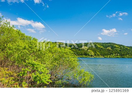 新緑の余呉湖風景 滋賀県長浜市余呉町 新緑の余呉湖風景 滋賀県長浜市余呉町 125891169