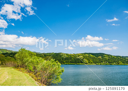 新緑の余呉湖風景　滋賀県長浜市余呉町 125891170