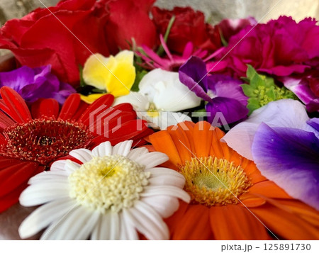 3月の花手水(ガーベラ・パンジー・カーネーション・薔薇)クローズアップ〈菅生神社/愛知県岡崎市〉 3月の花手水(ガーベラ・パンジー・カーネーション・薔薇)クローズアップ〈菅生神社/愛知県岡崎市〉 125891730