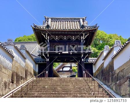 五月晴れの青空と新緑に彩られた随念寺鐘楼門 を石段より見上げる〈愛知県岡崎市門前町〉 125891733