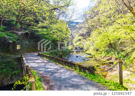 国定公園帝釈峡,遊歩道風景(広島県庄原市) 国定公園帝釈峡,遊歩道風景(広島県庄原市) 125892347