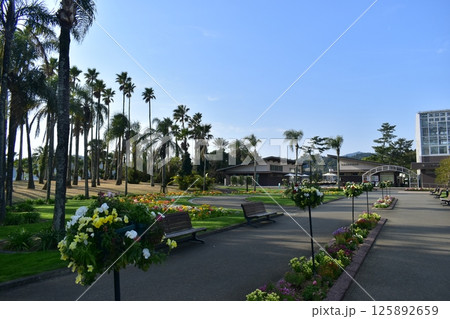 宮崎　ガーデン　官交ボタニックガーデン青島 125892659