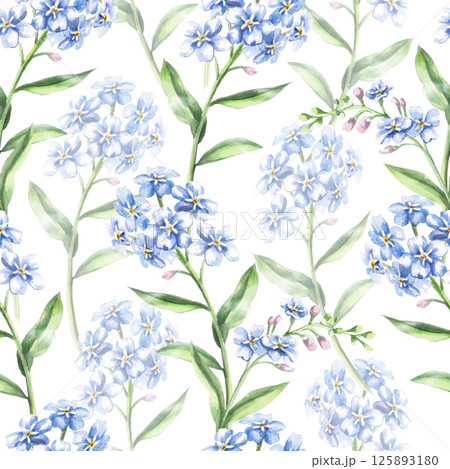 Seamless pattern with forget-me-nots on a white background. Watercolor illustration of garden flowers for perfume design, printing on fabric, wallpaper, wrapping paper. Seamless pattern with forget-me-nots on a white background. Watercolor illustration of garden flowers for perfume design, printing on fabric, wallpaper, wrapping paper. 125893180