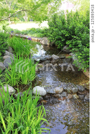 麻布台ヒルズ 中央広場 麻布台ヒルズ 中央広場 125893418