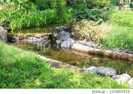 麻布台ヒルズ　中央広場　 125893419