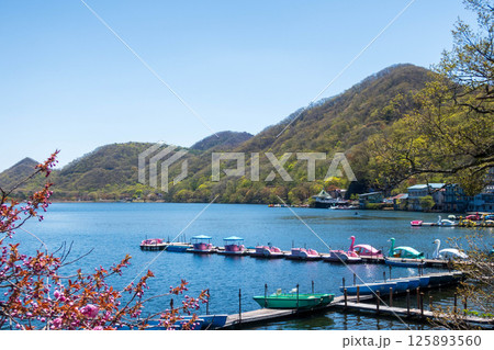 新緑の榛名湖 群馬県 新緑の榛名湖 群馬県 125893560