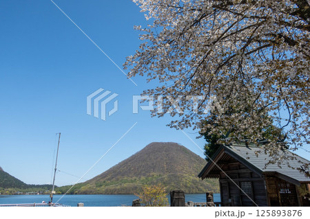 新緑の榛名湖 湖畔のヤマザクラ 群馬県 新緑の榛名湖 湖畔のヤマザクラ 群馬県 125893876