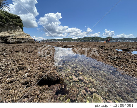 磯海岸の様子 5月 磯海岸の様子 5月 125894091