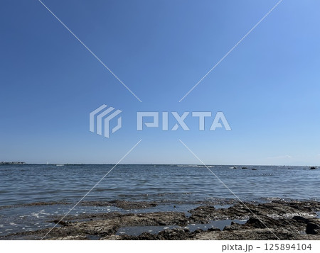 磯海岸の様子 5月 磯海岸の様子 5月 125894104