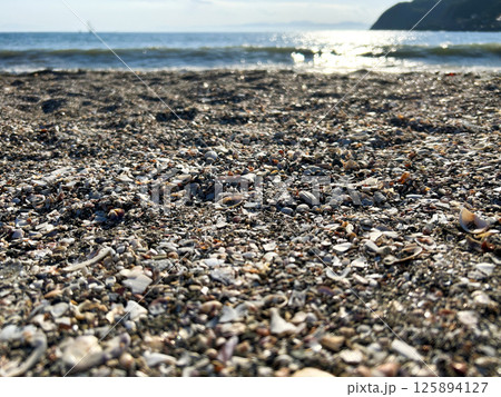 磯海岸の様子　5月 125894127