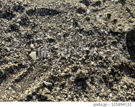 磯海岸の様子 5月 磯海岸の様子 5月 125894131