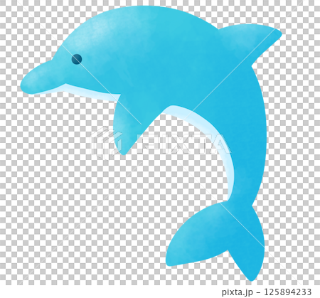 かわいい青色のイルカのイラスト 125894233