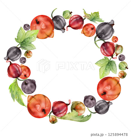 Currant gooseberry with leaves in water dew drops, ripe garden berry juneberry casseille jostaberry hand drawn in watercolor. Isolated wreath frame crown. Organic food drink, fresh eco grocery store 125894478