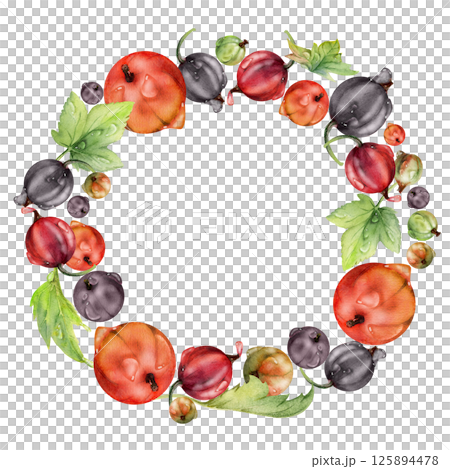 Currant gooseberry with leaves in water dew drops, ripe garden berry juneberry casseille jostaberry hand drawn in watercolor. Isolated wreath frame crown. Organic food drink, fresh eco grocery store 125894478