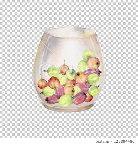 Gooseberry Currant berries served in glass hand drawn in watercolor, ripe picked harvest, lingonberry huckleberry juneberry. Isolated illustration. Dessert menu, home preserves cookbook, grocery store 125894486