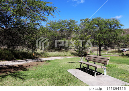 静かなベンチと自然の小径 125894526