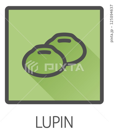 Lupin Bean Legume Food Icon Concept Lupin Bean Legume Food Icon Concept 125894637