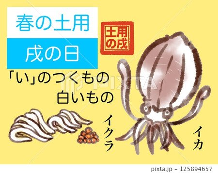 春土用のイカとイクラのイメージ 125894657