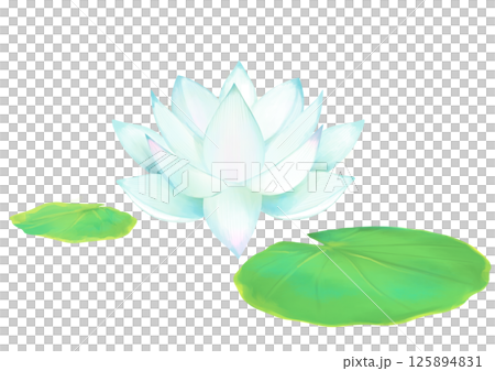 美しい蓮の水彩イラスト素材 美しい蓮の水彩イラスト素材 125894831