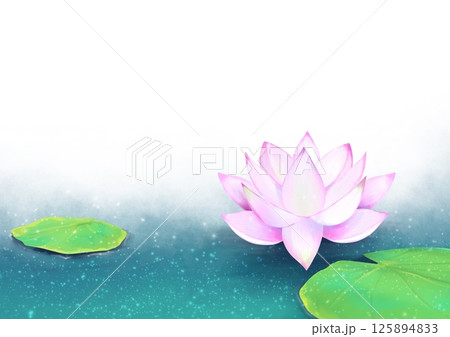 綺麗な蓮の背景イラスト 125894833