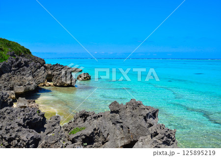 与論島 ヨロンブルー 与論島 ヨロンブルー 125895219