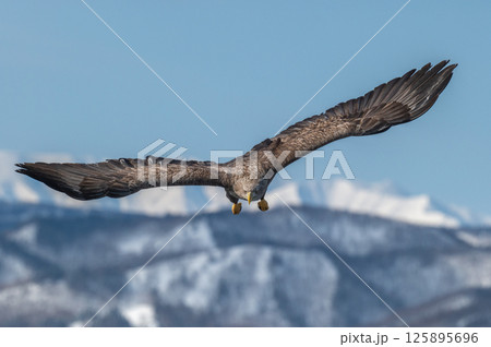 知床　冬 125895696