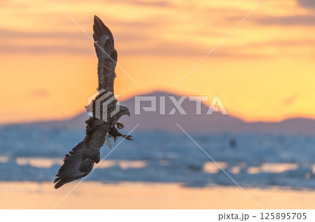 知床　冬 125895705