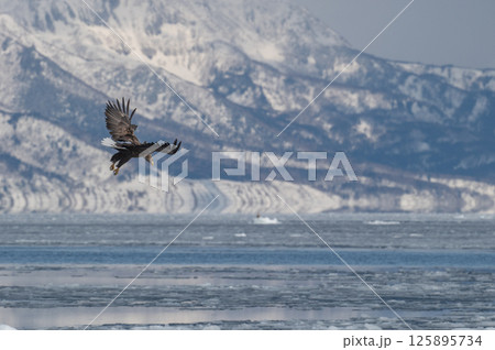 知床　冬 125895734