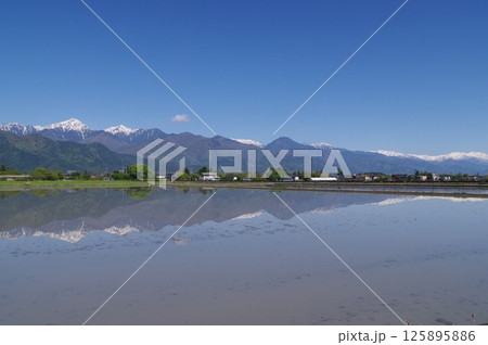 信州 春の安曇野 残雪の北アルプス常念岳を望む水田風景 信州 春の安曇野 残雪の北アルプス常念岳を望む水田風景 125895886