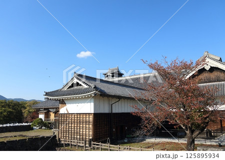 熊本市　熊本城 125895934