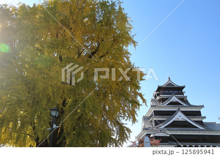 熊本市 熊本城 熊本市 熊本城 125895941
