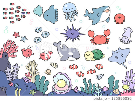 海の生き物たち 125896056